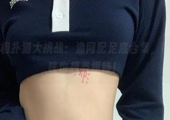 微密圈 – 相扑猫大挑战：渔网配足底合集，照片里的猫咪也想当模特！